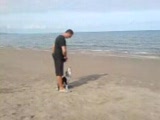 köpek eğitimi - korsan