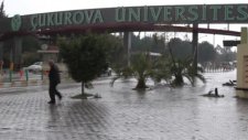 Play ÜniFilmFest Çukurova Üniversitesi'nde