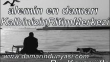 Selahattin Cesur Yaşamak Seninle Güzel Www Damarindunyasi Com