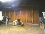 Sagopa Kajmer-Kırık Çocuk