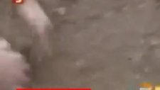 Memiş İle Ramazan Lazoğlu'yu Mezardan Çıkarıyorlar!