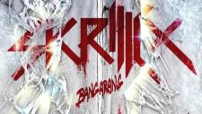 Skrillex Wolfgang Gartner The Devil's Den