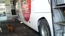 Mst Yolcuları