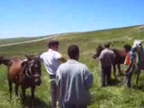 Değirmenli Köyü Şenlikleri