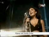 Ziyner Sali ---Herkes Evine---©-2008-©-İlk Kez-©