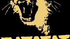 Ratatat Tacobel Canon