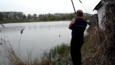 Kedi balığı oltadan kaptı