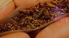 Cigara Nasıl Sarılır Agam - Dinle Be Reis