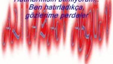 Ali ihsan akgün ''senin yolunda''