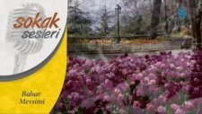 Bahar Mevsimi Sokak Sesleri