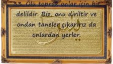 Ebubekir şatıri Yasin Süresi
