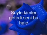 Mavi Gül