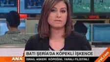 İsrail Askeri köpeğini yaralı Filistinli protestocunun üzerine saldı