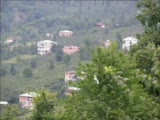 Erdal Güvendi Yapmacik Bebek