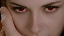 The twilight saga breaking dawn