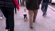 bağdat caddesinde ördek