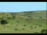 Gültepe Köyü Tanıtım Videosu 1