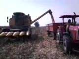 mısır biçerken 2008 özenler