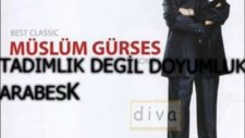 müslüm gürses bir fırtına kopacak