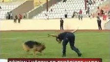 Eğitimli Köpekler Teröriste Karşı www.erdemcansivas.tr.gg