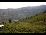 Giresun Dereli Bahçeli Mahallesinden Görünüm