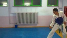 Tkd Taha Yanalak 540 Degree Kick