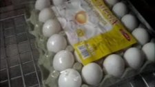 Yumurta PAKETLEME Videosu Manuel Shrink Makinası 4500