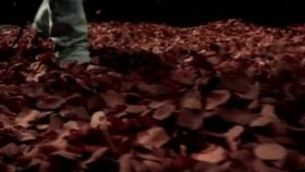 Alan Jackson - Like Red On A Rose Alan Jackson - Like Red On A Rose