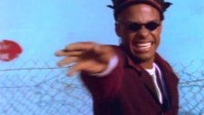 Fishbone - Everyday Sunshine