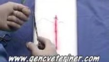 Yatay U Dikişi