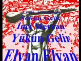 Kubat Yeşil Başli Gövel Ördek