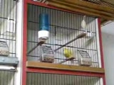 waterslager