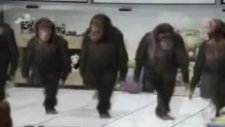 türkiyeyi kasıp kavuran rappo rappo halay müzigi mutlaka dinle