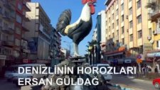 Denizlinin Horozları_ersan Güldağ