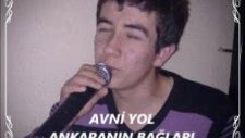 Ankaranın bagları