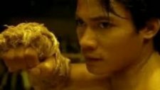 Tony jaa boyka