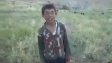 lanet olsun bu hayat