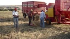 2011 Bellitaş Köyü Harami Hınıs