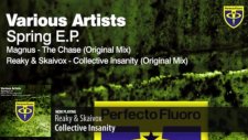 various artists - spring ep reaky skaivox - collective ınsanity original mix