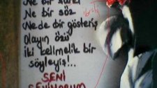 Ayşegül Zayim (Turku Gözlum)
