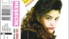 Neşecik Bittim Gel