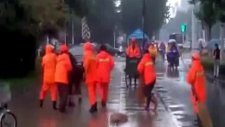 Oğlum Bak Git Çin Versiyonu süperr