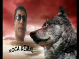 Gülşehirli Kemal