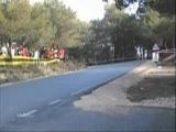 ölümden ağaç sayesinde kurtuluyor