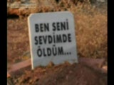 Yaban Gülüm
