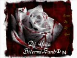 Dj Hoca - Bitermi Sandın