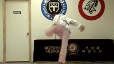 Taekwondo Best Kicks (taekwondo)