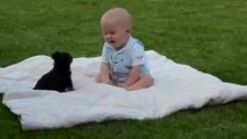 Komik Bebek ve Köpek Yavrusu