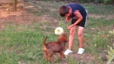 köpekle kavga eden çocuk