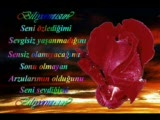 Kıyamet Kopacak Nerdesin